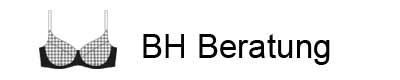BH Beratung