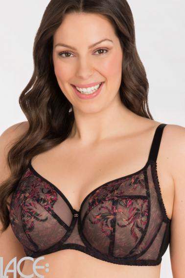 Gorsenia - BH G-L Cup - Gorsenia 27