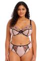 Elomi - Carrie Taillenslip mit hohem Bein