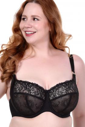 Bella Misteria - BH H-L Cup - Bella Misteria 01