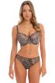 Fantasie Lingerie - Antonia Rio Slip