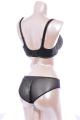 Empreinte - Allure Short