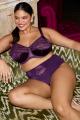 Elomi - Cate BH I-M Cup