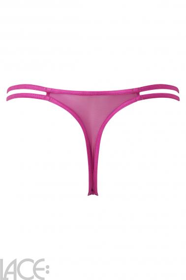 Gossard - Suspense String