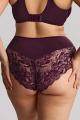 Sculptresse by Panache - Amara Taillenslip