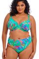 Elomi Swim - Toyama Tides Bikini Taillenslip - High leg