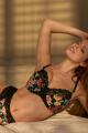 Panache Lingerie - Envy BH G-M Cup Panache Lingerie - Envy BH G-M Cup