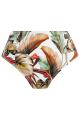 Fantasie Swim - Kinabalu Bikini Taillenslip
