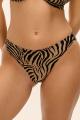 Freya Swim - Tortoli Bay Bikini Rio Slip