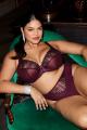 Elomi - Reja Brasilianischer String Elomi - Reja Brasilianischer String