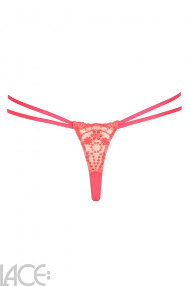 PrimaDonna Twist - Angelou String