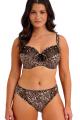 Fantasie Lingerie - Talia Rio Slip Fantasie Lingerie - Talia Rio Slip