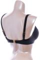 Ewa Bien - Bikini-BH Tiefes Dekolleté E-I Cup - Ewa Bien Swim 02 Ewa Bien - Bikini-BH Tiefes Dekolleté E-I Cup - Ewa Bien Swim 02