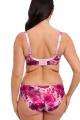 Fantasie Lingerie - Pippa Rio Slip