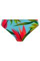 Fantasie Swim - Pichola Bikini Rio Slip