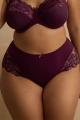 Sculptresse by Panache - Amara Taillenslip