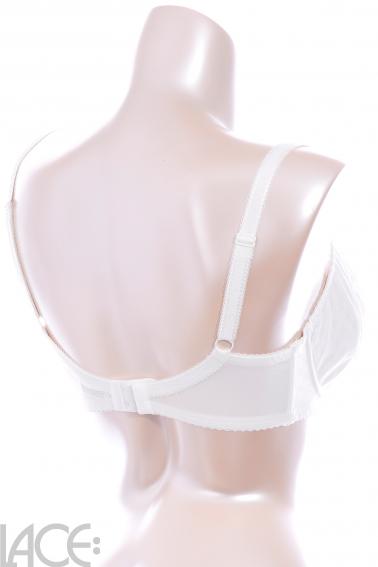 Ava - BH G-J Cup - Ava 1876