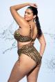 Elomi Swim - Tortoli Bay Bikini-BH Tiefes Dekolleté H-N Cup Elomi Swim - Tortoli Bay Bikini-BH Tiefes Dekolleté H-N Cup