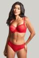 Panache Lingerie - Envy Rio Slip Panache Lingerie - Envy Rio Slip