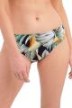 Fantasie Swim - Bamboo grove Bikini Rio Slip