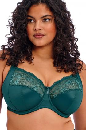 Elomi - Morgan BH I-N Cup