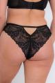 Curvy Kate - Lace Daze Brasilianischer String