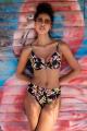 Freya Swim - Savanna Sunset Bikini Taillenslip