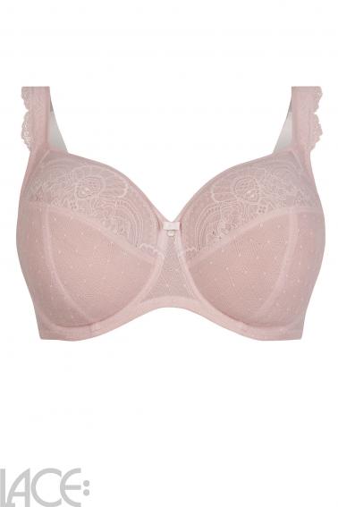 Rosa Faia - Selma BH G-J Cup