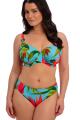 Fantasie Swim - Pichola Bikini Rio Slip