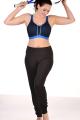 PrimaDonna Sport - The Mesh Sport-BH mit Bügel - Wattiert D-G Cup