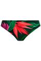 Fantasie Swim - Pichola Bikini Rio Slip