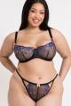 Curvy Kate - Strawberry Crush Brasilianischer String Curvy Kate - Strawberry Crush Brasilianischer String